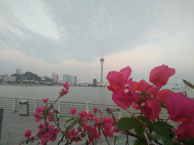 ������ͷ�����˵����ʲô ���������������ͷ����ǳƵ�����ʲô����