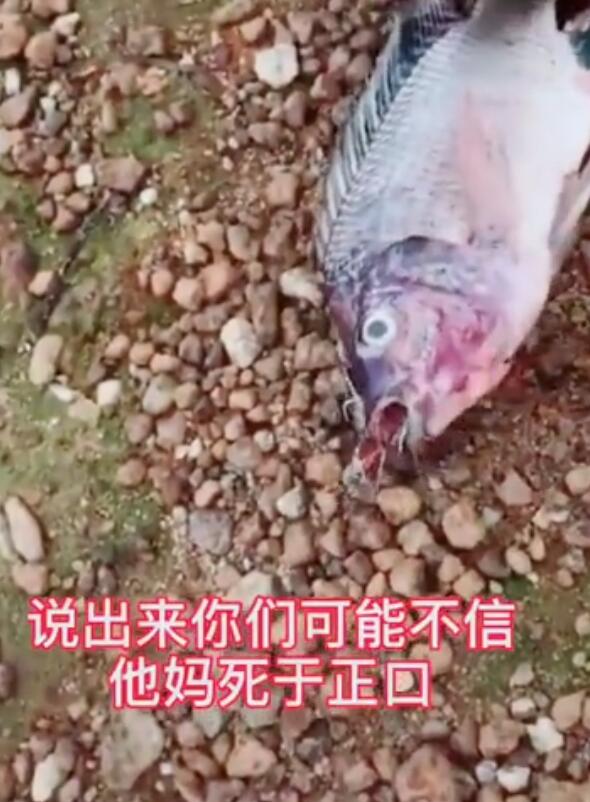 ���������ո˾���ʲô��˼ ˮ���Ӿ���������¼�