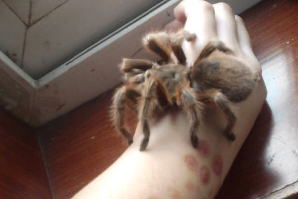 ��ССΪʲô��ô�� �Ӵ���ʧ����˿����У԰�����¼�ʼĩ