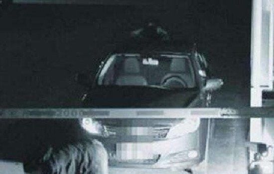 ���������վ�¼������Ƶ �����汾�����������¼�����