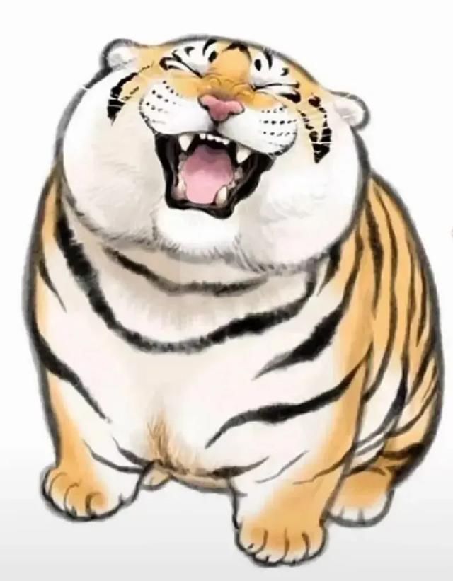 ��������ʲô�������� �÷��������������������ô��