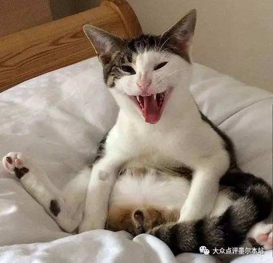 压枪是什么意思网络语言 很丢人:男生压枪真的很难受吗