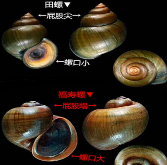 �����ݺ����ݵ����� ��ʲô���������ݵ����ܲ��ܳ�