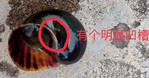 �����ݺ����ݵ����� ��ʲô���������ݵ����ܲ��ܳ�