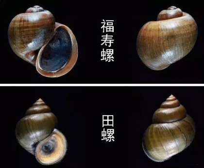 �����ݺ����ݵ����� ��ʲô���������ݵ����ܲ��ܳ�