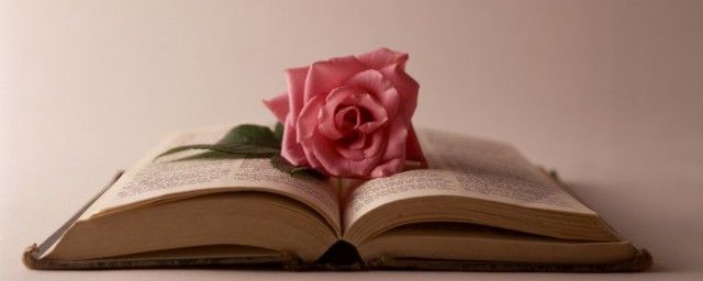 ��β����ʲô���ܹ��� �Ǵ���ɣ���β���ɵ�Ԣ�������