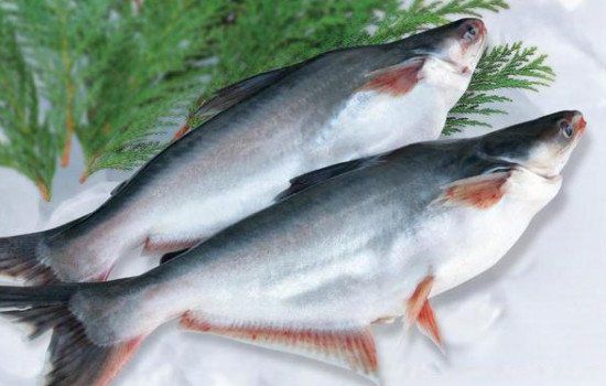 ��ɳ����������������� �Ը�����������ɳ��ΪʲôҪ�ٳ�