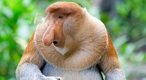 ���Ǻ�Ϊʲô��ǹ���� ������λ����ֳ��ΪɶһֱӲ����