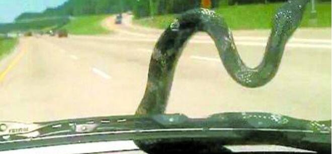 ����ѹ�����Ǽ������� ��ʲôԤ�ף�����ѹ��������ʲô˵����