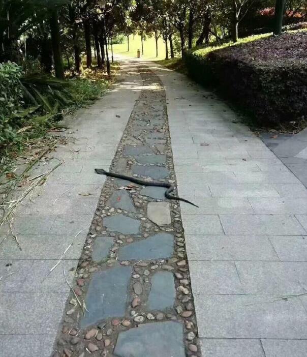 ����ѹ�����Ǽ������� ��ʲôԤ�ף�����ѹ��������ʲô˵����