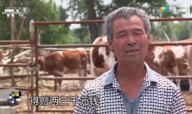 ����ţ��۸����Ǯһ�� �����йأ�����ţ��Ϊʲô��ô����