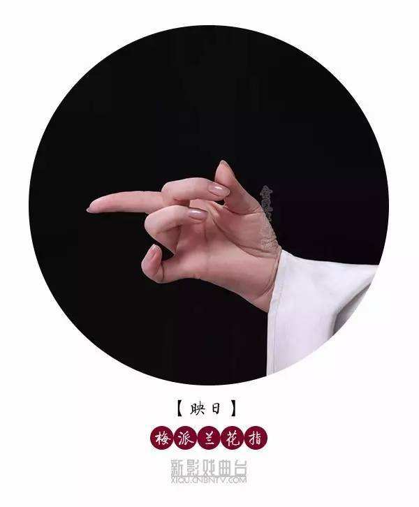 ����ָ����ȷ����ͼƬ��ʲô��˼ �ڹŴ�����ָ�����˵�ר��