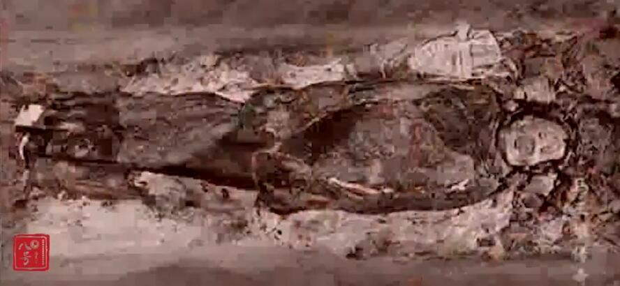 辛追夫人刚出土的样子 千年不腐:辛追夫人遗体没氧化照片