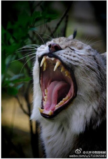 ���������Ǯһֻ Ϊ����ô����������ܱ�а��