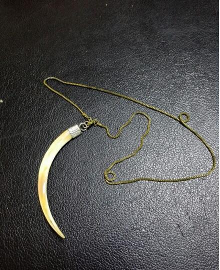 ���������Ǯһֻ Ϊ����ô����������ܱ�а��