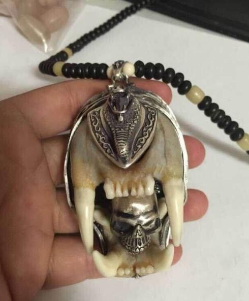 ���������Ǯһֻ Ϊ����ô����������ܱ�а��