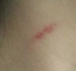 ��ݮӡ��ô�������� ���Ǻţ�����ݮ�Ĳ��輼�ɺ�λ��