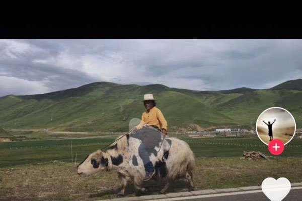 ����������Gay�� ��ȡ�򣺻����������ǻ�����