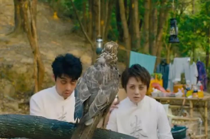 熬鹰是什么意思网络语 非常残忍:为什么熬鹰过后鹰听你的话