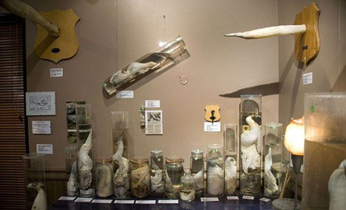 �����Բ�������˱��� һ�ж�����ô�ı���