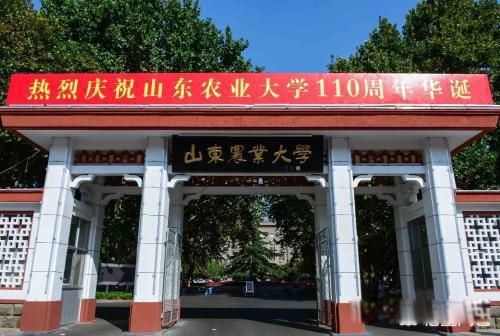 ɽ����õĴ�ѧ����ǰʮ�� ��õ���������985��У