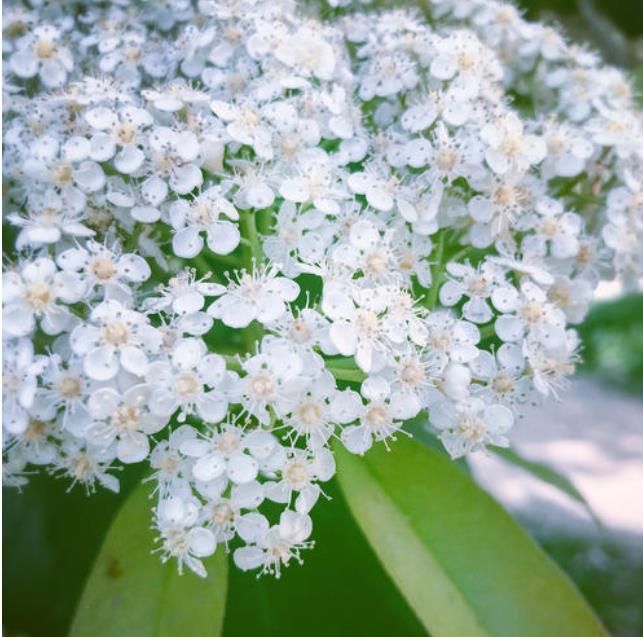 ��������jy��ʲô��˼ ���¼�jy��ʯ骻���ζ��һ��