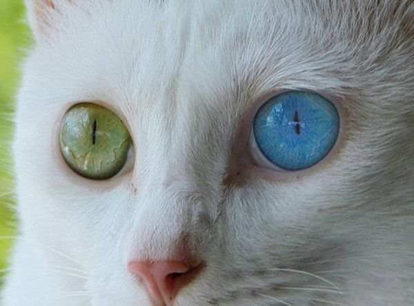 ���ſ�����,Ϊʲô��ʱ��ͦ׼�� ʮ������˵����ȫ