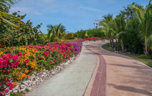 一起走花路什么意思 被广泛流传:走花路是最初是谁说的