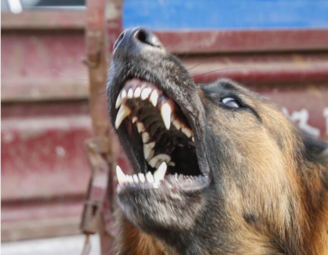 ��������ʲôԢ�⣿�ܱ�а�� ������������а������