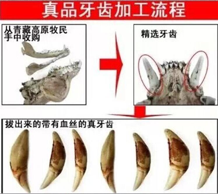 ��������ʲôԢ�⣿�ܱ�а�� ������������а������