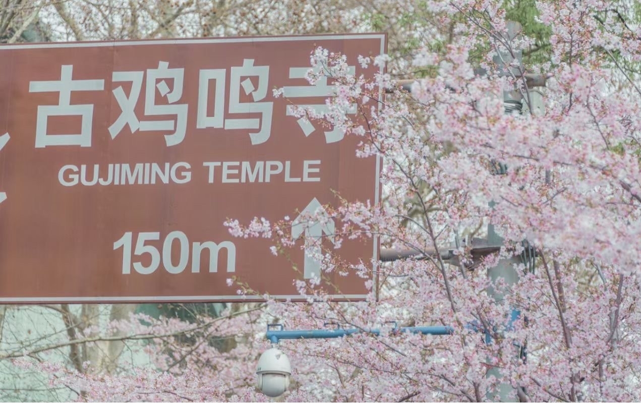 ʲô 漣֣µӣʲô˼