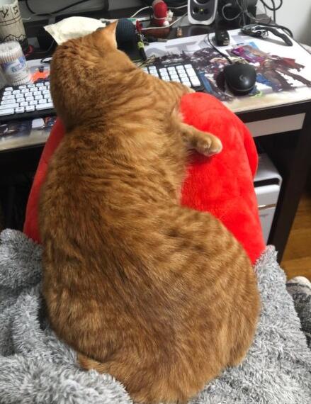 èΪʲô ǧèĴԭ