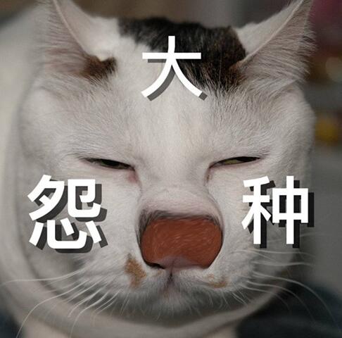 jpgʲô˼ȴ СɣXXXX.jpg