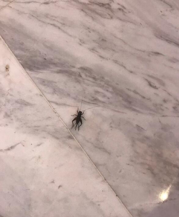 �������ʲô���� ���˵�����������Ԥʾ��ʲô