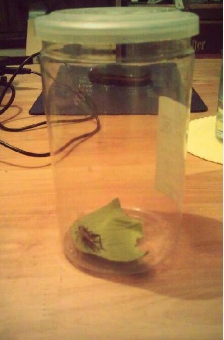 �������ʲô���� ���˵�����������Ԥʾ��ʲô