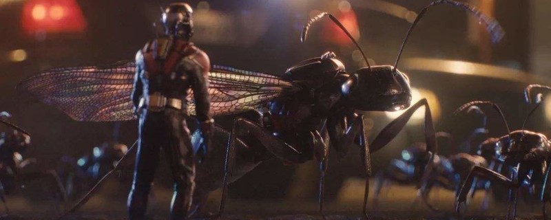 2ʵм زʵ2ʵ