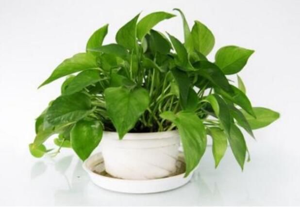 ��ˮ�е�ʮ�󲻼����� �˰����������ڷ�Ĺ��