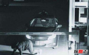 加油站闹鬼事件:鬼给纸车加油 汝南加油站诡异事件监控真相