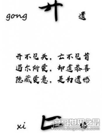 Å[ (gong xi )ʲô˼ ףÅ[ô