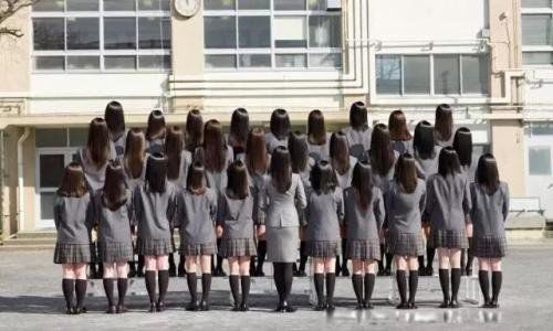 10��ֲ���Ƭ ȫ������ֲ�����Ƭ��С������