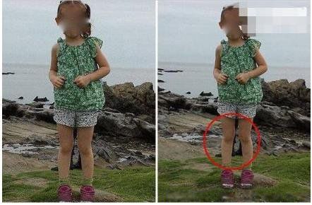 10��ֲ���Ƭ ȫ������ֲ�����Ƭ��С������