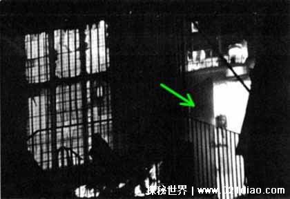 10��ֲ���Ƭ ȫ������ֲ�����Ƭ��С������