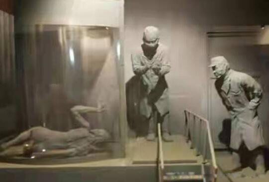 731����������Щ���µ�ʵ�� 731������Ѫ��Ѫ����ʵ�����