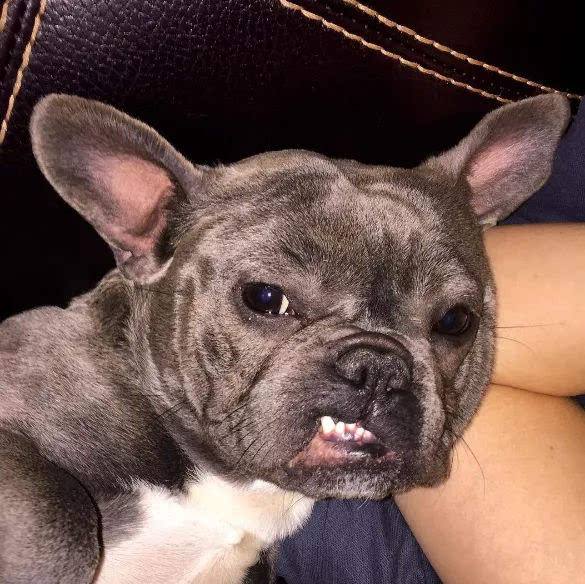 ��ͷ�ܰѹ����� �᲻���ɵ�ˣ��򹷴��ĸ���λû��