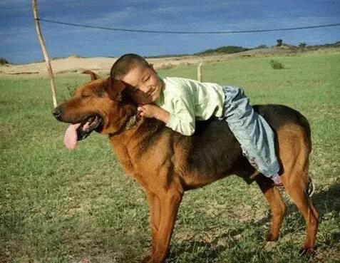 ��ͷ�ܰѹ����� �᲻���ɵ�ˣ��򹷴��ĸ���λû��