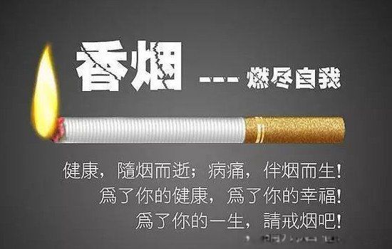 小熊猫家园细支香烟好抽吗 只有16根多少钱一包