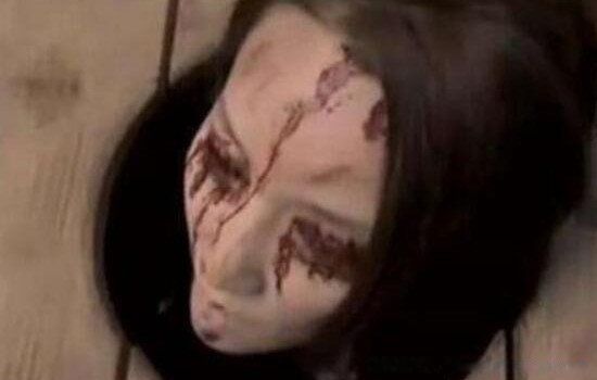 �ݷ��˺�����Ĺ��� ͼƬ��ԭ���ݷ��˱���������ʷ�������