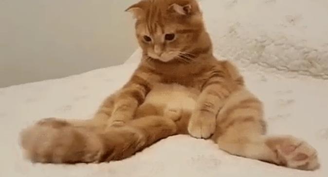 hjʲô˼ ˼бȽ۵ĺ