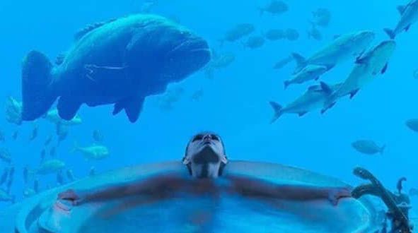 �ϰ�ˮ�¾Ƶ��Ǽ��Ǽ��� �Ƶ�סһ������Ǯ