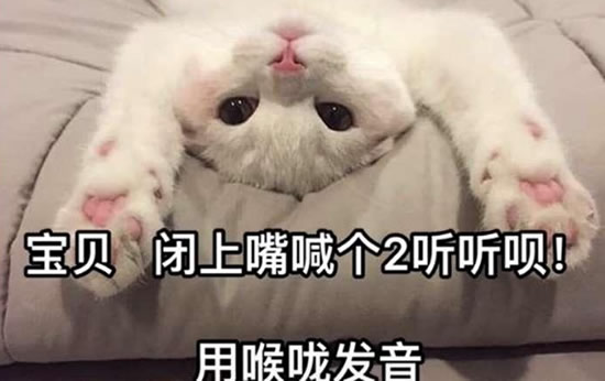 캰2,ú ֵĴϢú2